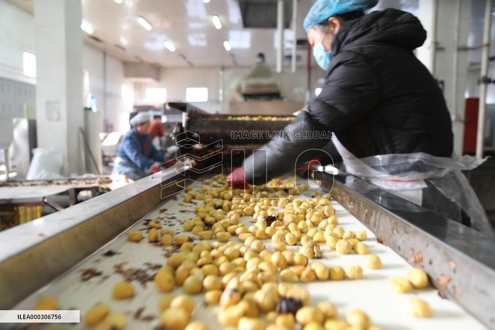 Chinese Chestnut Processing