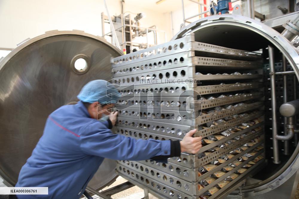 Chinese Chestnut Processing