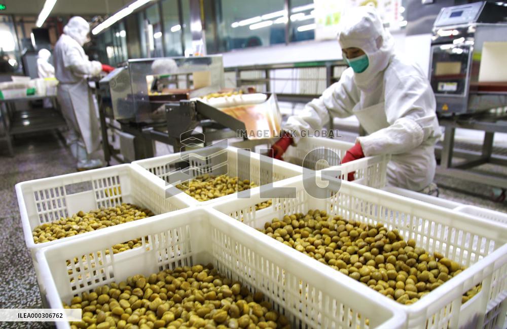 Chinese Chestnut Processing