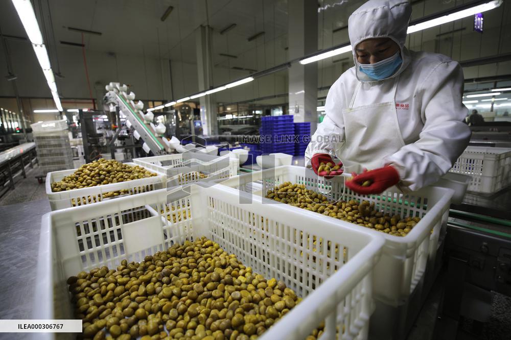 Chinese Chestnut Processing
