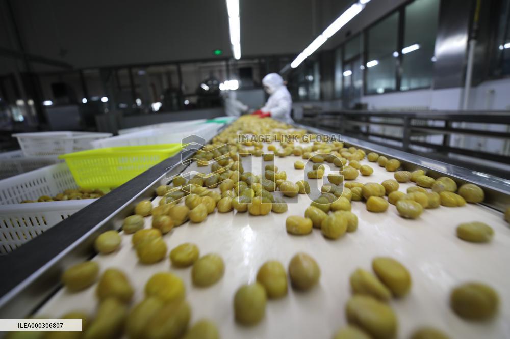 Chinese Chestnut Processing
