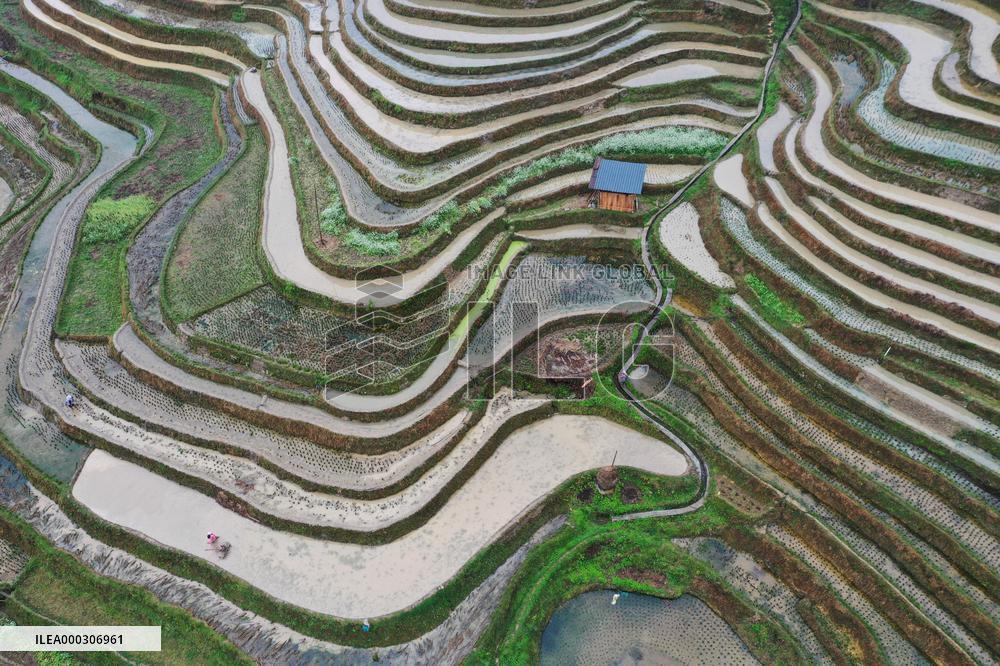 Jiabang Rice Terraces