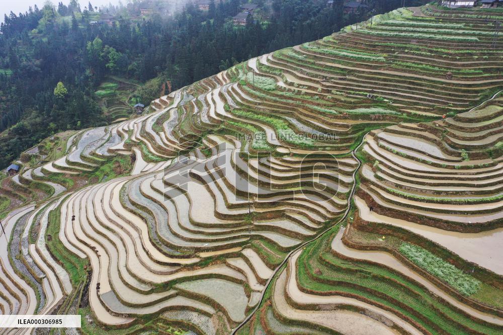 Jiabang Rice Terraces