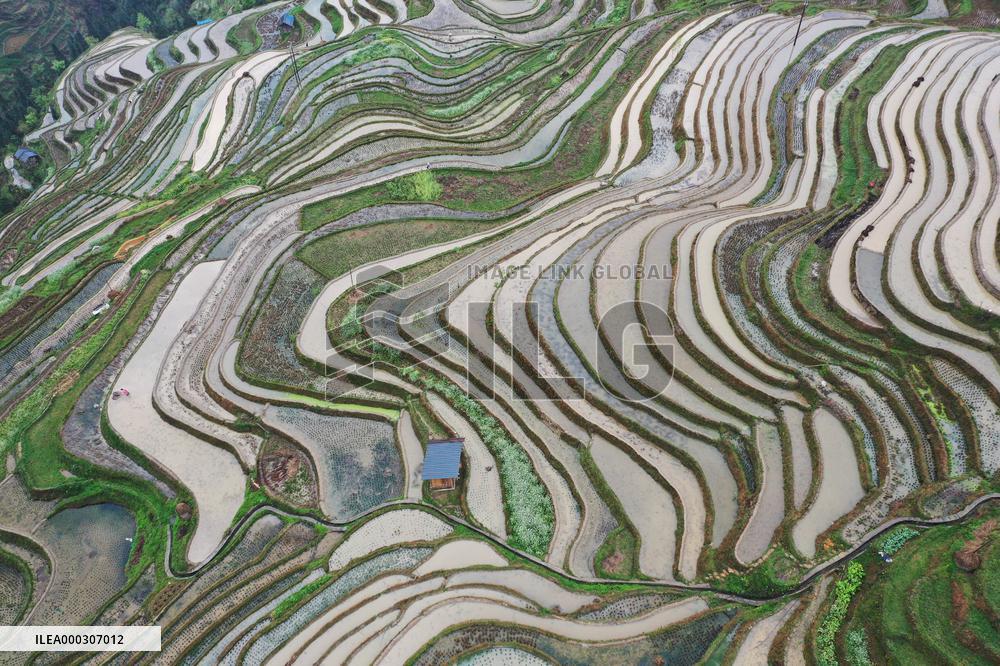 Jiabang Rice Terraces