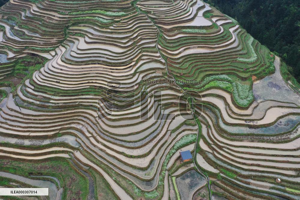Jiabang Rice Terraces