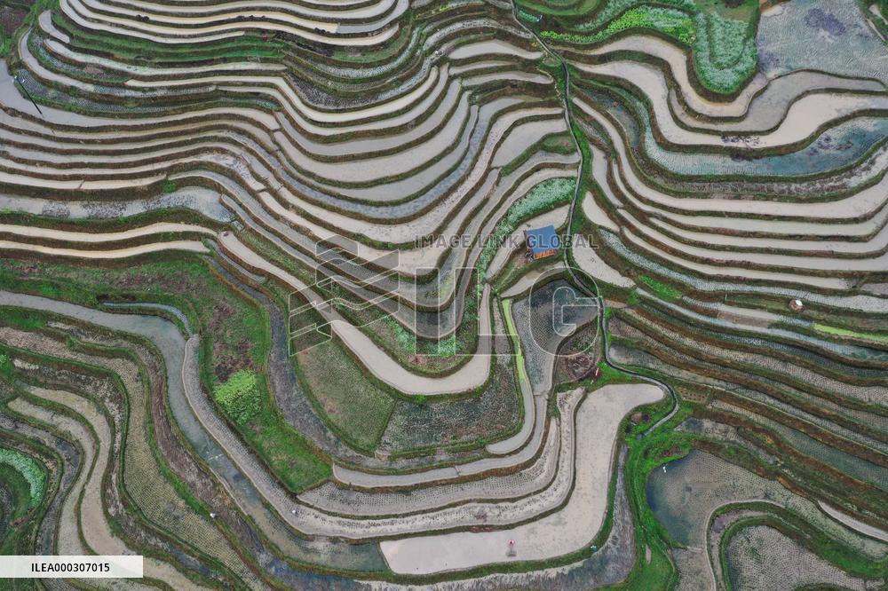 Jiabang Rice Terraces