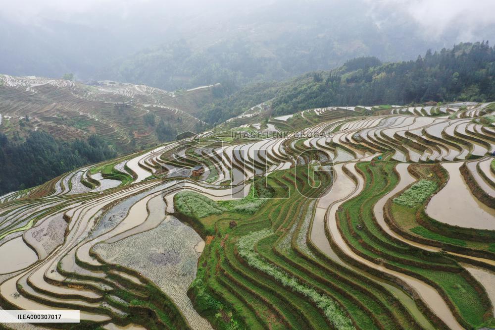 Jiabang Rice Terraces