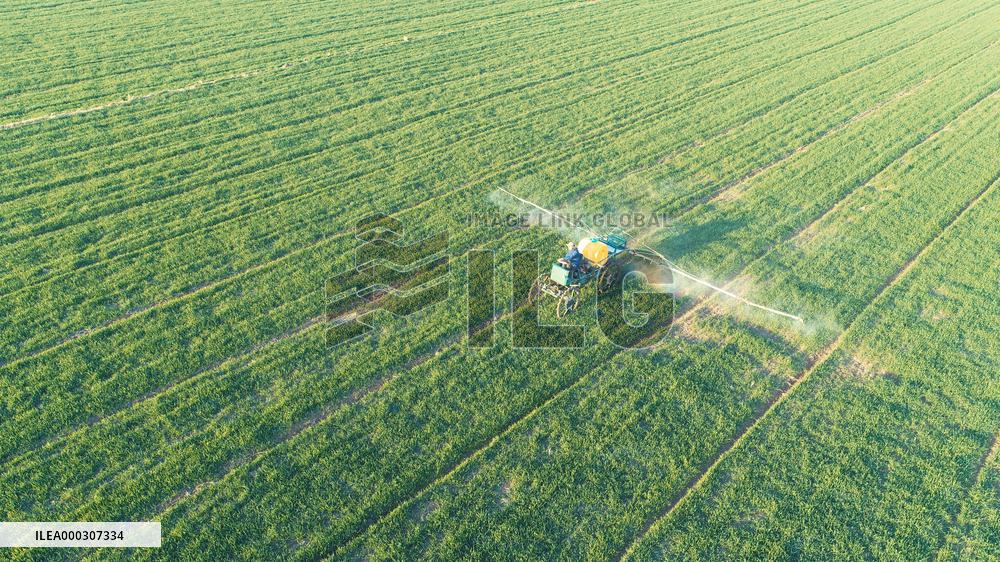 Intelligent Agriculture