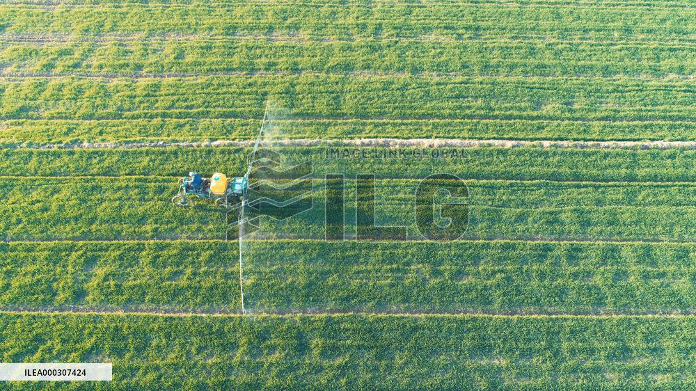 Intelligent Agriculture