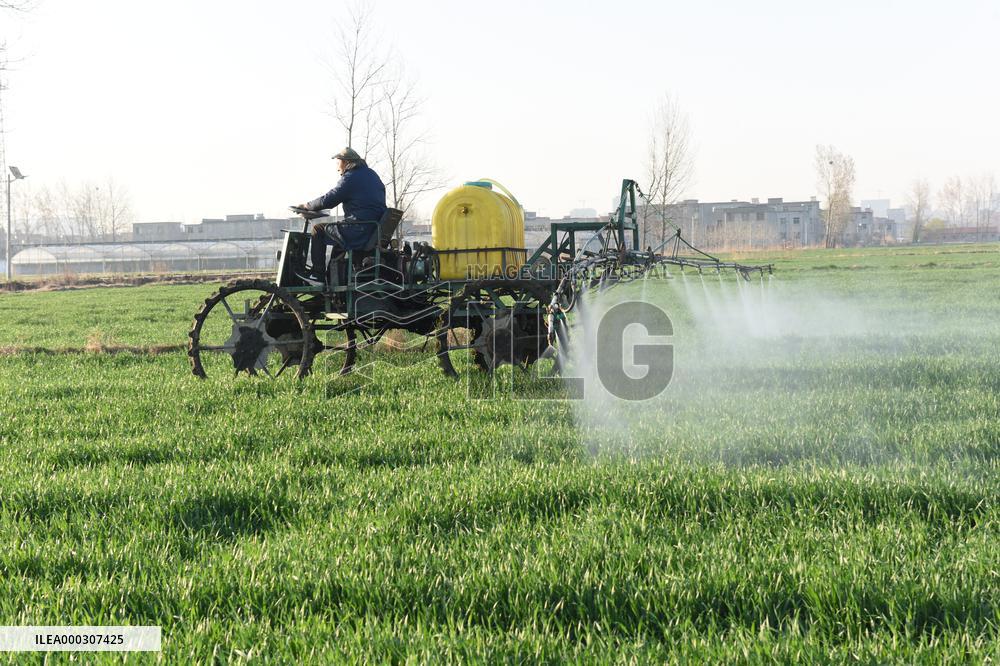 Intelligent Agriculture