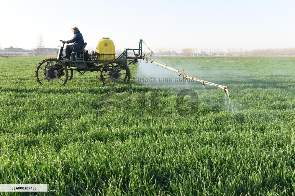Intelligent Agriculture