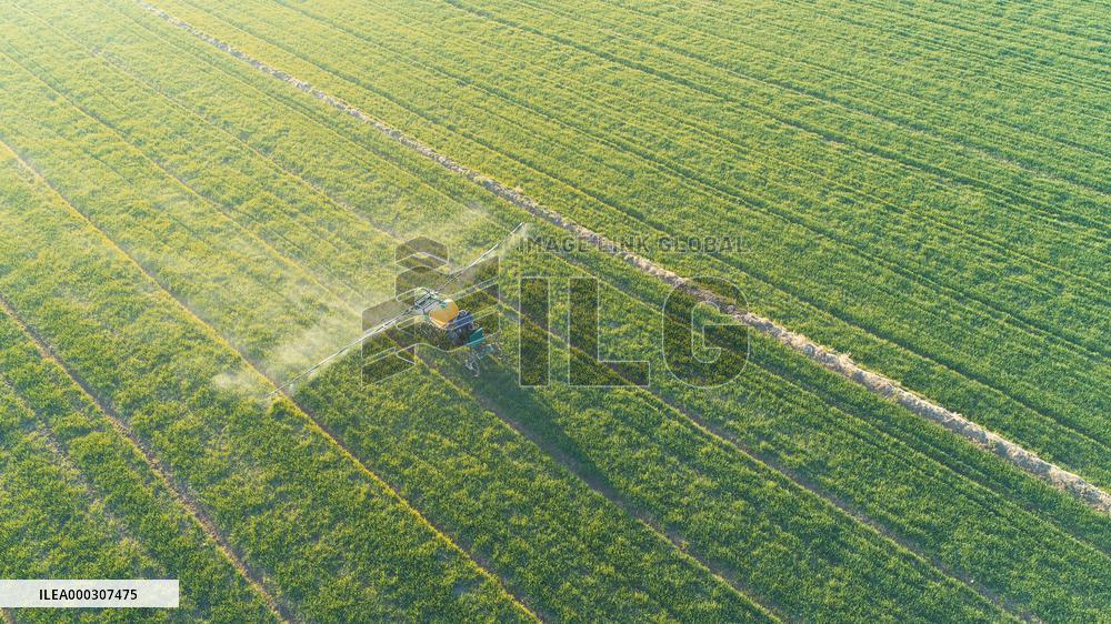 Intelligent Agriculture