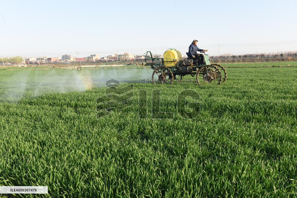 Intelligent Agriculture
