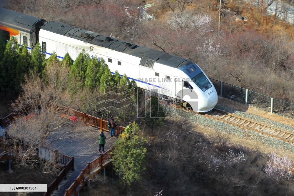The Train To Spring