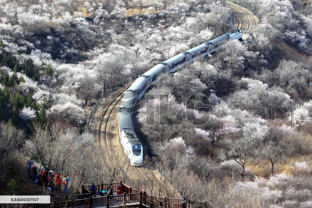 The Train To Spring