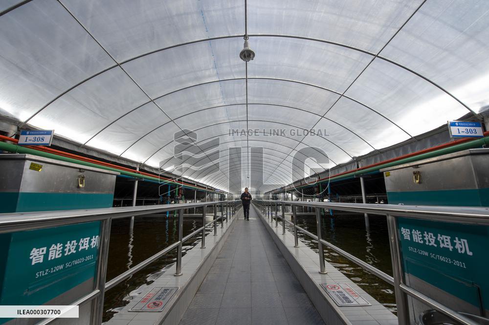 Ecological Intelligent Fishery