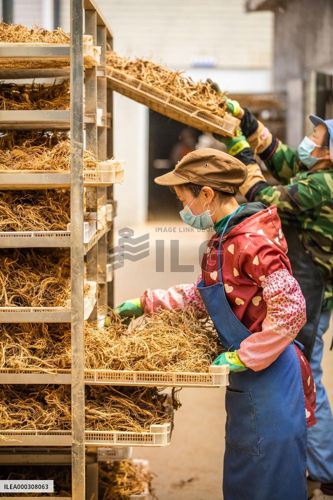 Traditional Chinese Medicine