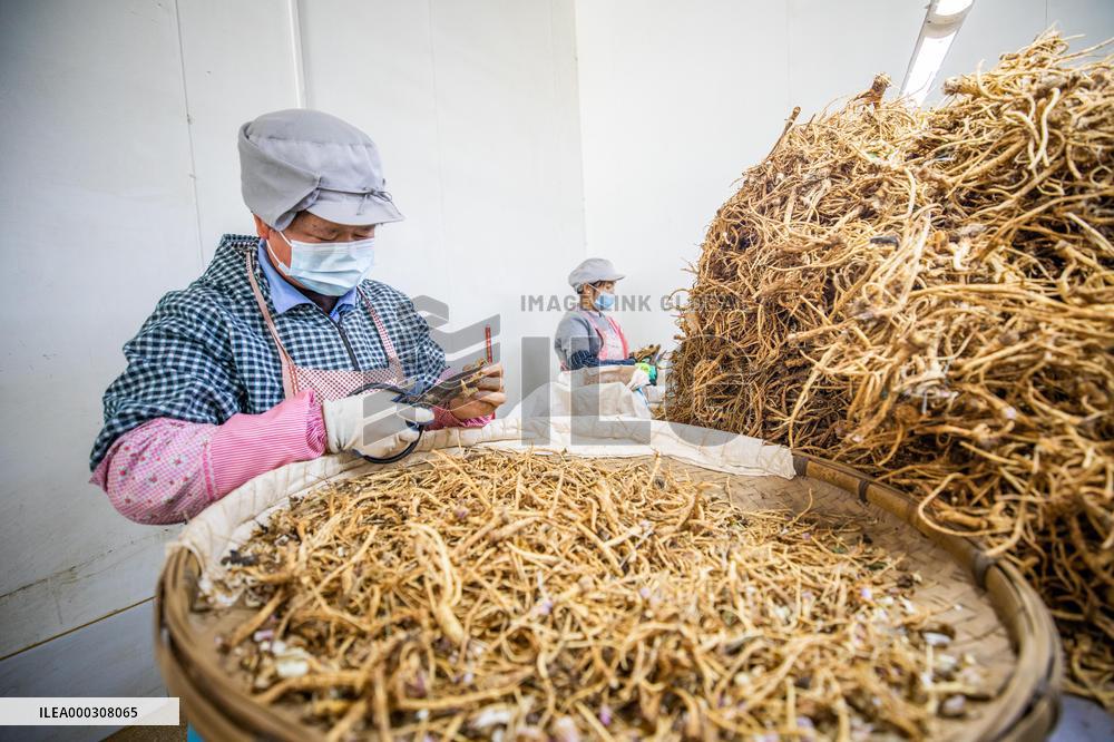 Traditional Chinese Medicine
