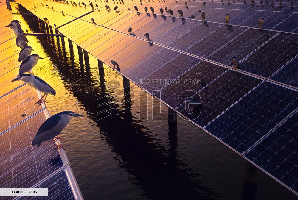 Solar Photovoltaic Panel