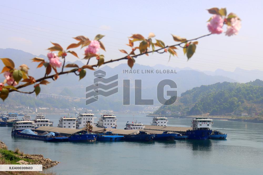The Three Gorges Dam Locks Suspended For Maintenance