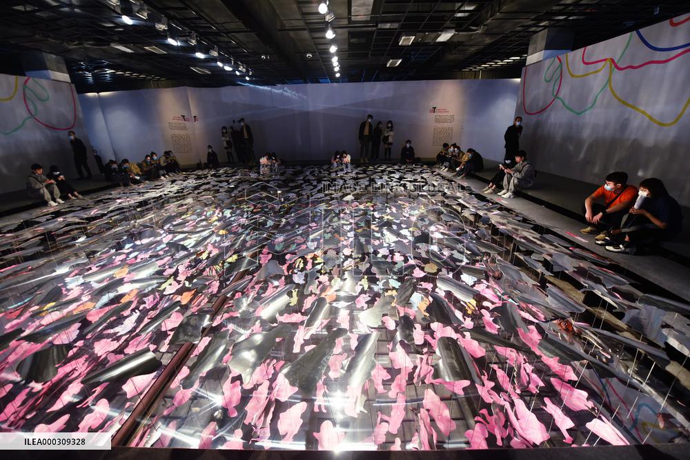 Digital Visual Art Exhibition in Hangzhou City