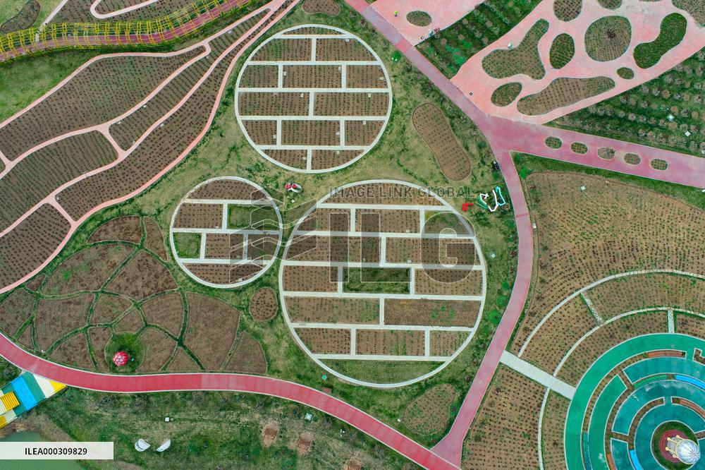 Eden Garden