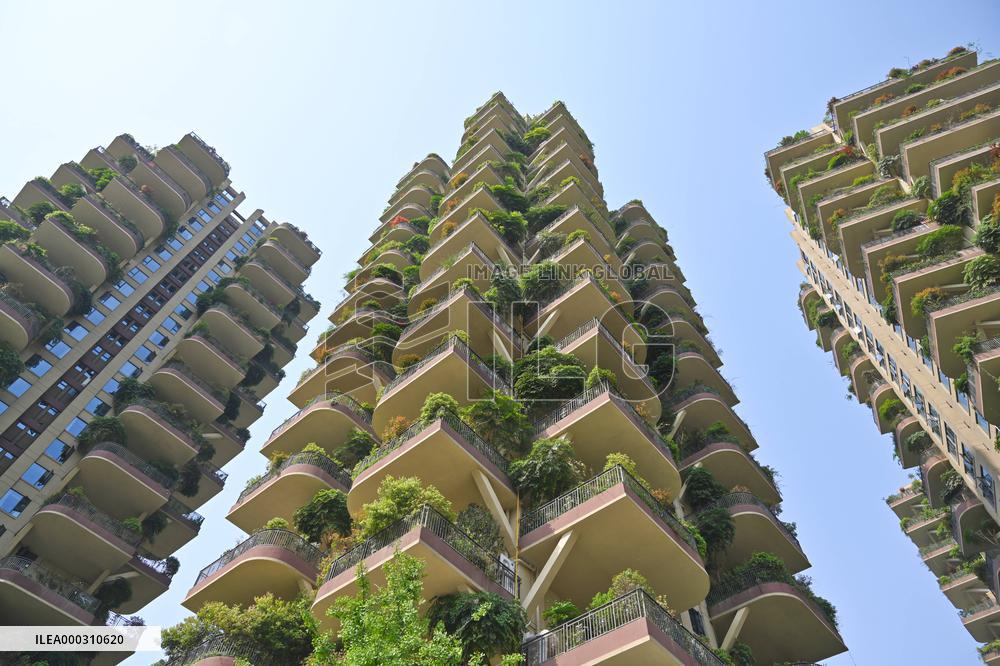 Vertical Forest Community