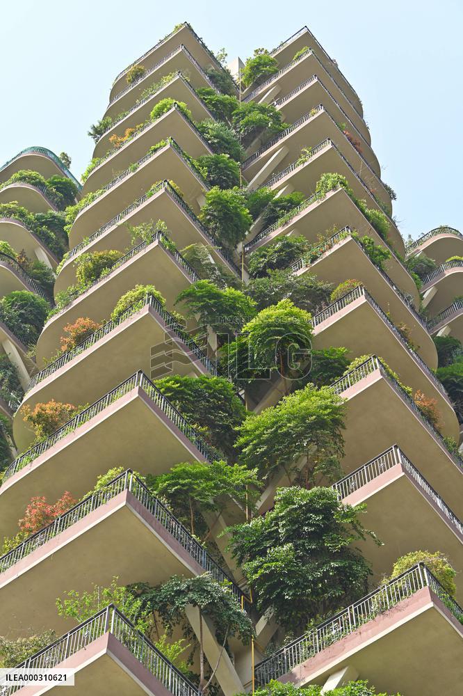 Vertical Forest Community