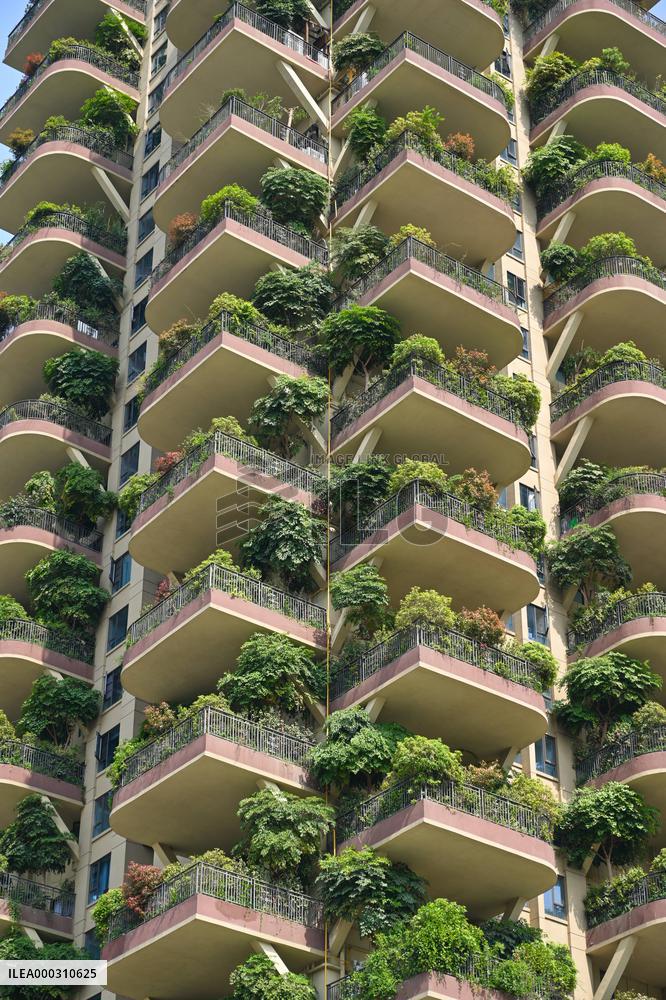 Vertical Forest Community