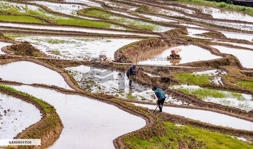 Terraces