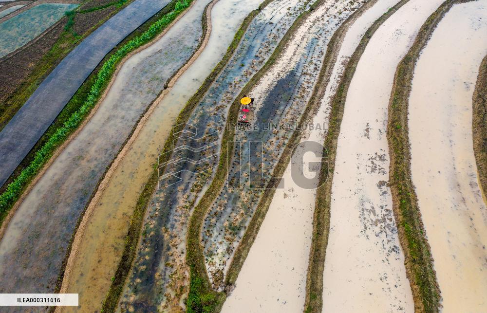 Terraces