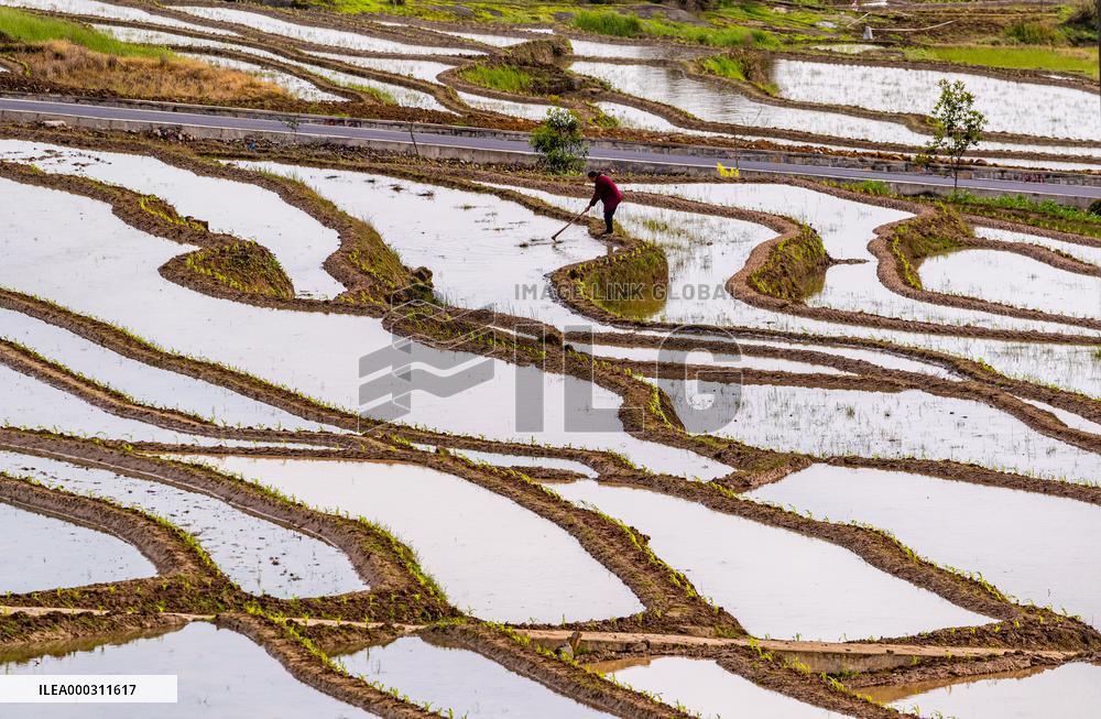 Terraces