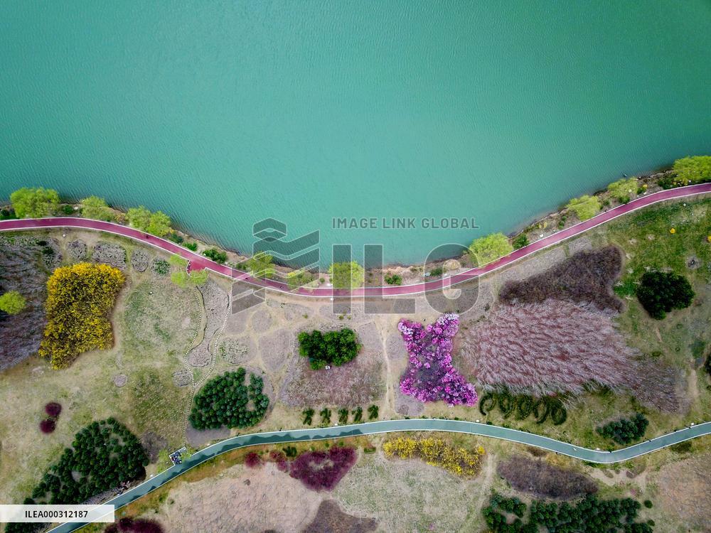 Environmental Improvement in China