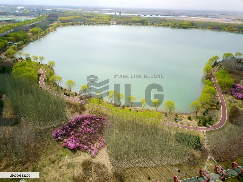 Environmental Improvement in China