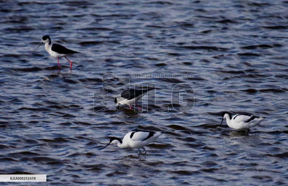 Environmental Improvement in China