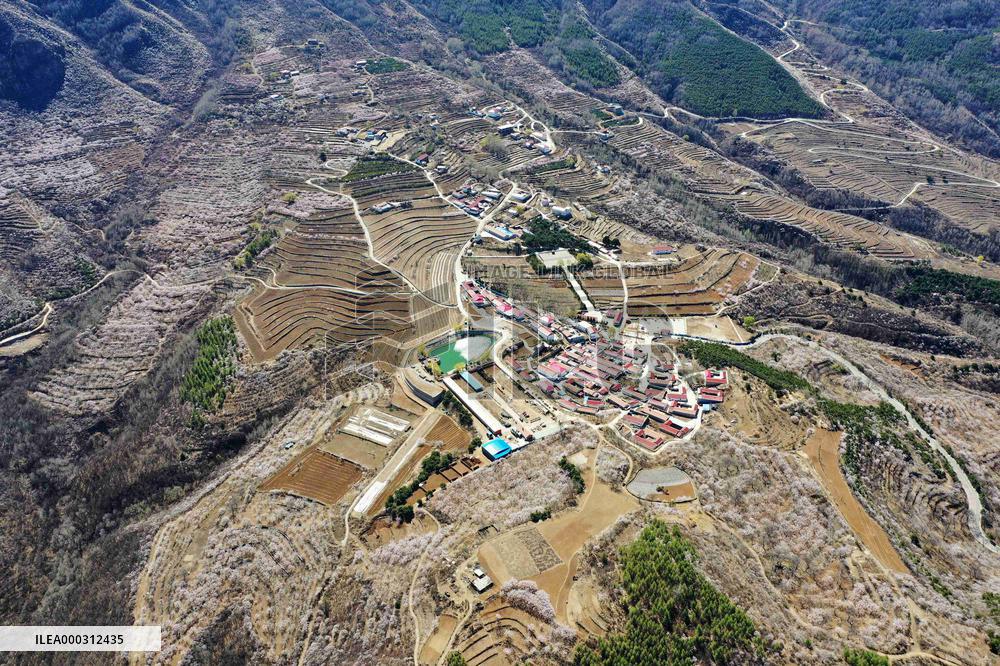 Rural Development in China