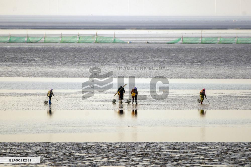 Tiaozini Wetland in Dongtai