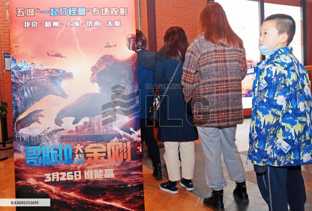 Chinese Film Market