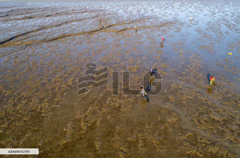 Tiaozini Wetland in Dongtai