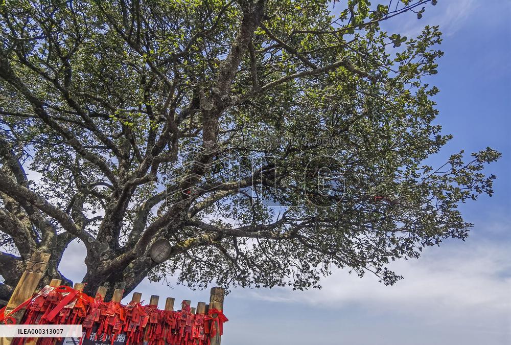 China Hubei Mount Wudang