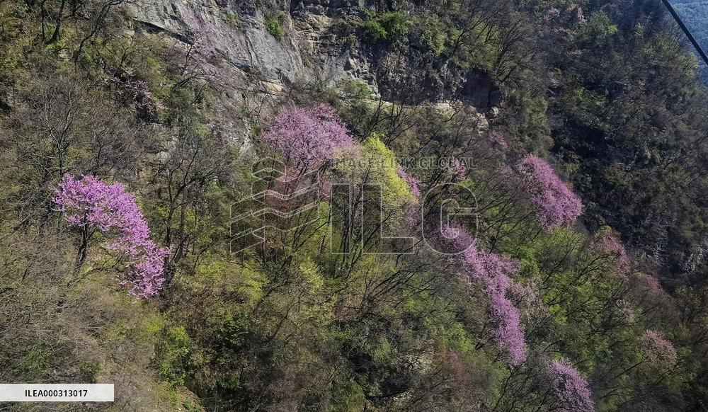 China Hubei Mount Wudang