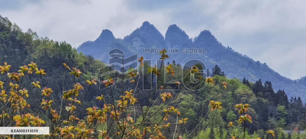 China Hubei Mount Wudang