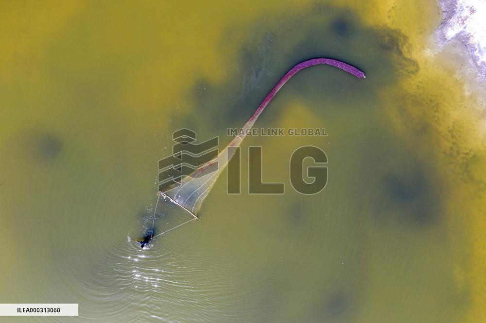 Fishing For Saltwater Worms