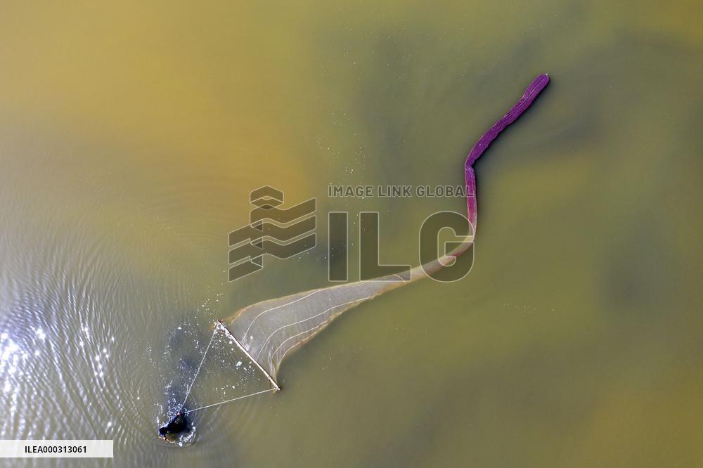 Fishing For Saltwater Worms
