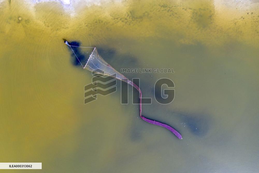 Fishing For Saltwater Worms