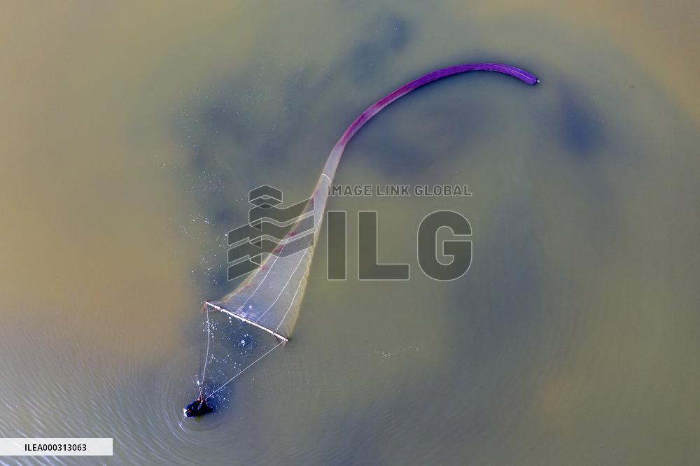 Fishing For Saltwater Worms