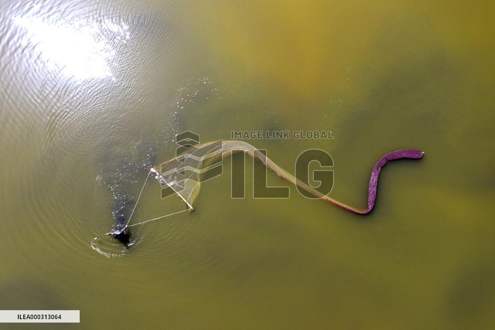 Fishing For Saltwater Worms