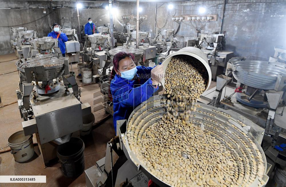 Apricot Flat Production Line