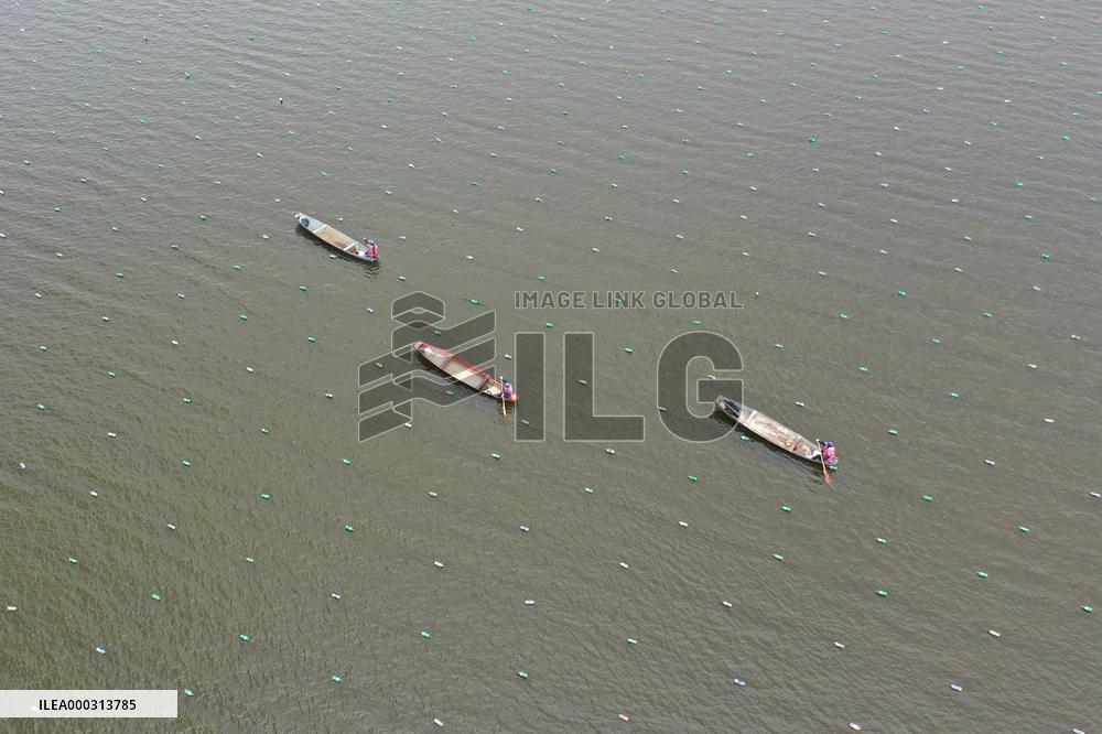 Characteristic Farming in Rural China