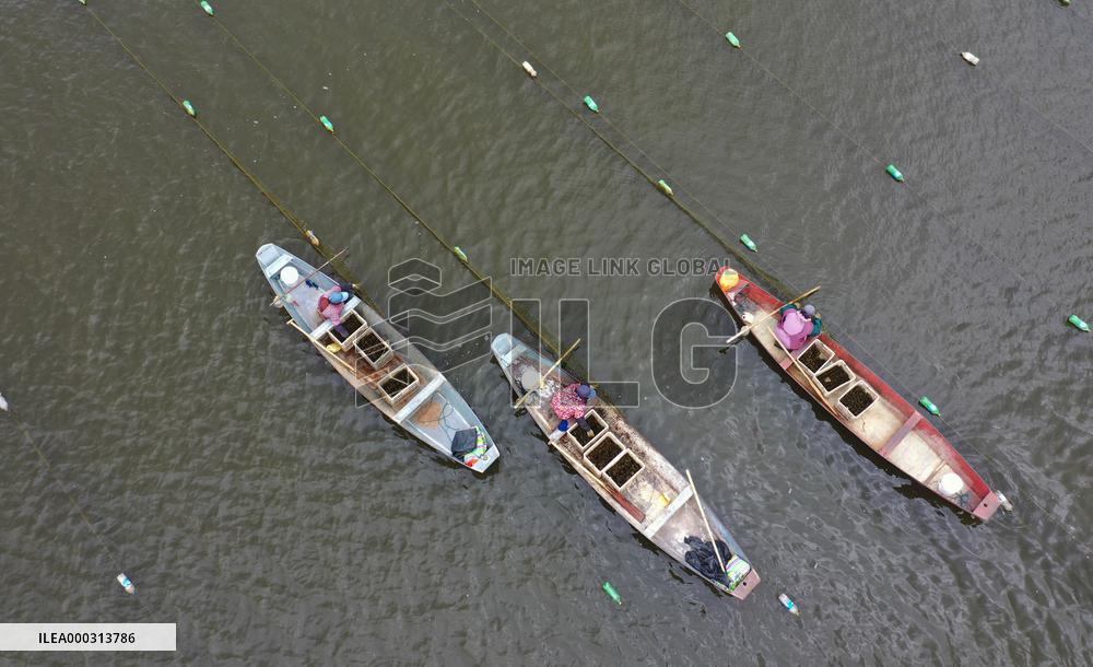 Characteristic Farming in Rural China